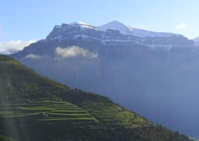 Monte Perdido con pradera verde en primer plano en el Parque Nacional de Ordesa