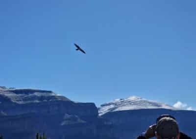 Pista forestal del Cebollar en ruta 4x4 hacia el Mirador del Quebrantahuesos