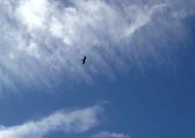 Paisaje de montaña desde la ruta del Cebollar en Ordesa