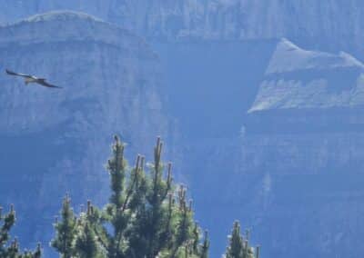 Excursión 4x4 por el Cebollar con vistas a Ordesa y Bujaruelo