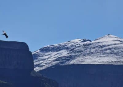 Ruta en 4x4 por el Cebollar en Ordesa con vistas al Pirineo
